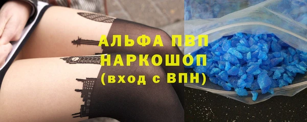 эйфоретик Вяземский