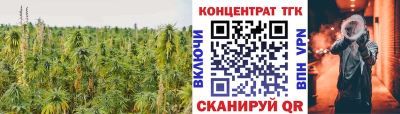 Дистиллят ТГК Wax  Купить закладки  Игра 